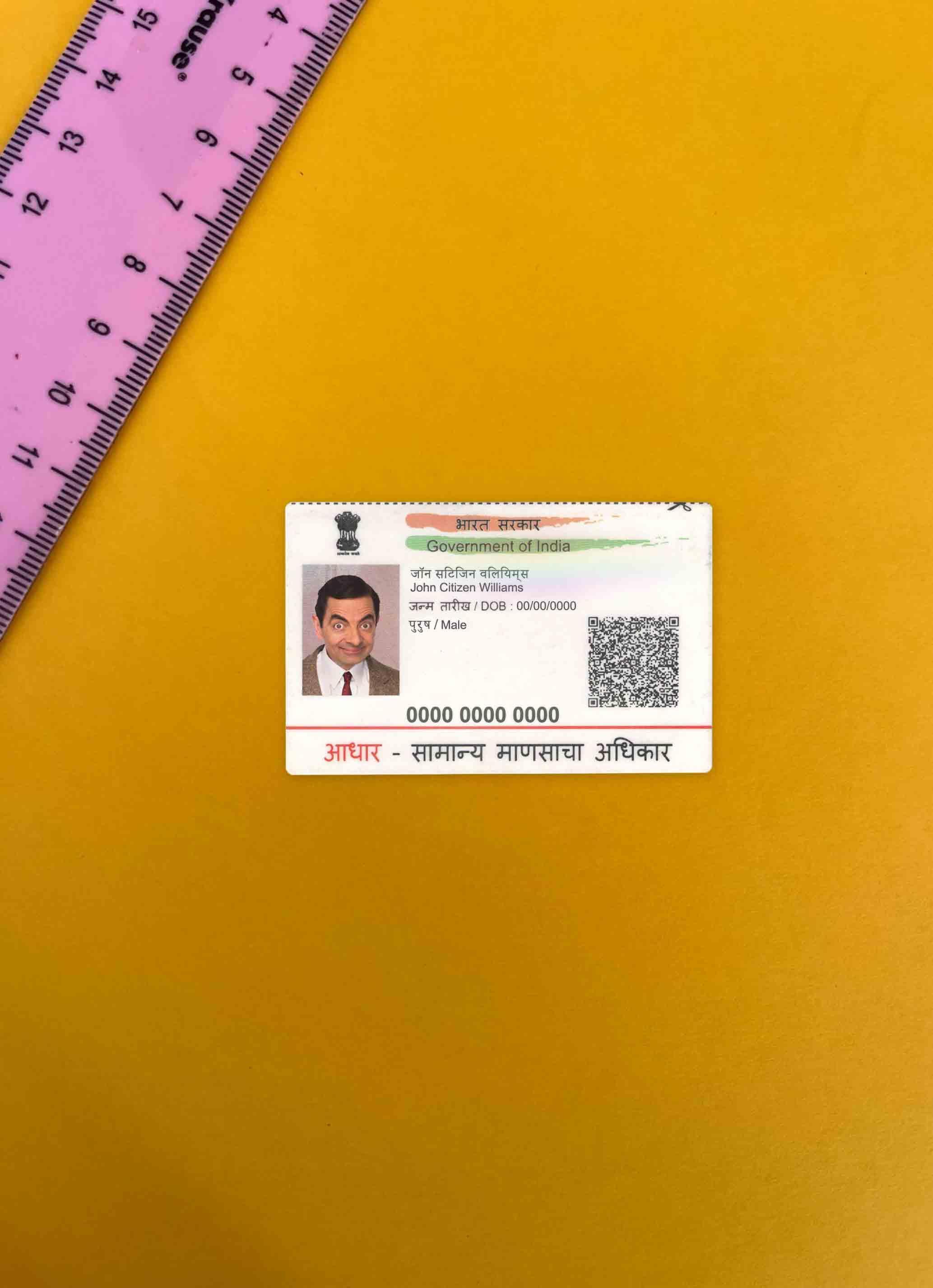 Realistic India ID photolook example